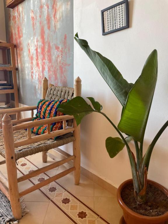 Surf Camp Essaouira B&B 외부 사진